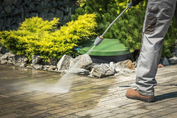 Best Solar Panel Cleaning  in Fort Montgomery, NY